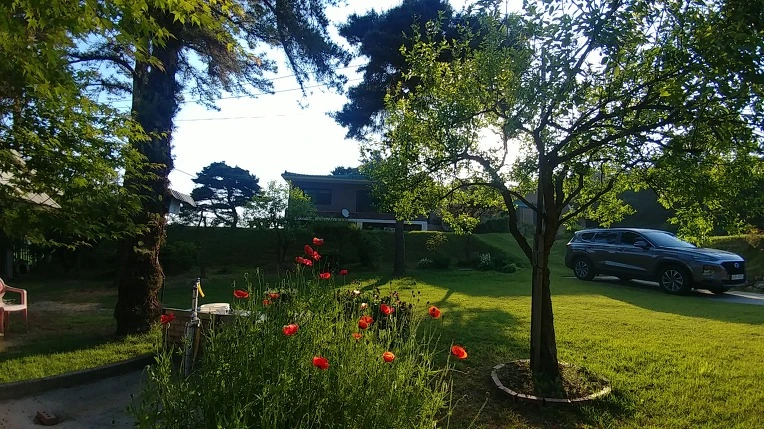 9909CE505B13797C029C10