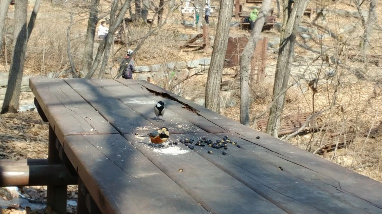 991D01495C8861EA08E3E6