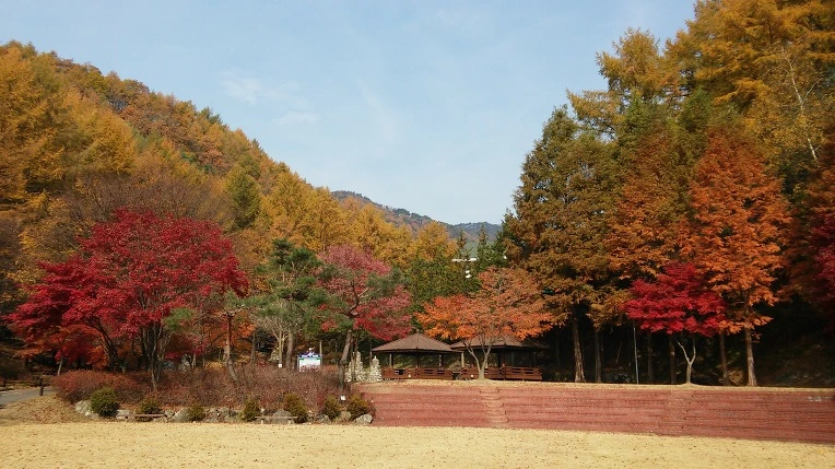 245B3349563C463A14C4F0