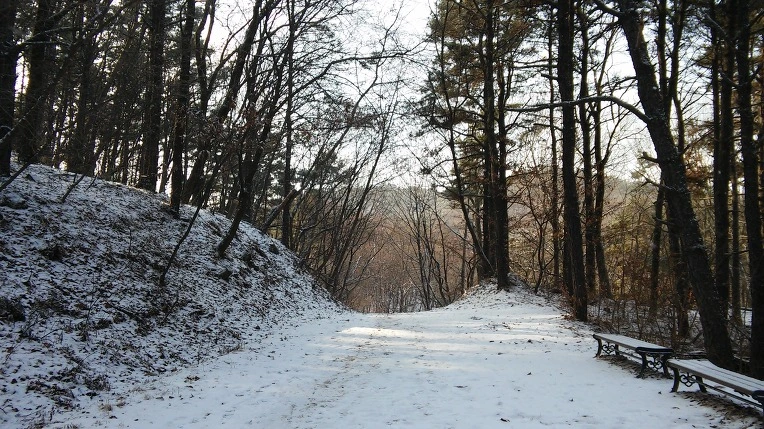 247D53485878B0241ACF25