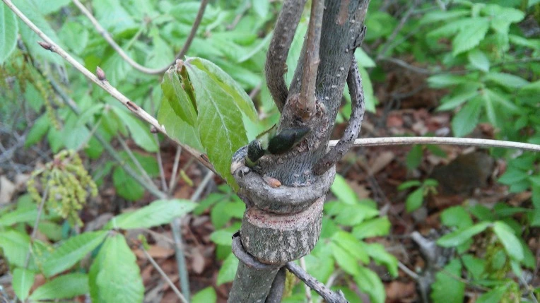 2702DA4B571ACF011023E1