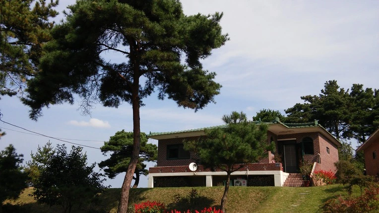 99B2313359D560850744DA