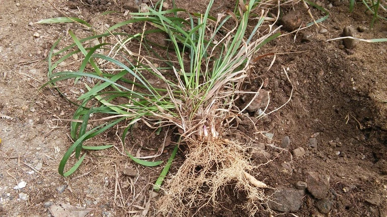 253D464256F4DC69113112