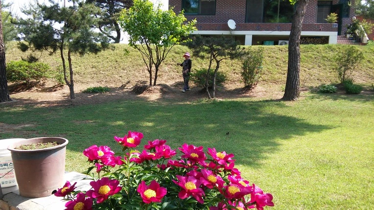 274B544B591BAECA022D7B