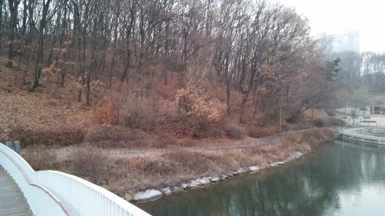 24352234586B24D30479B5