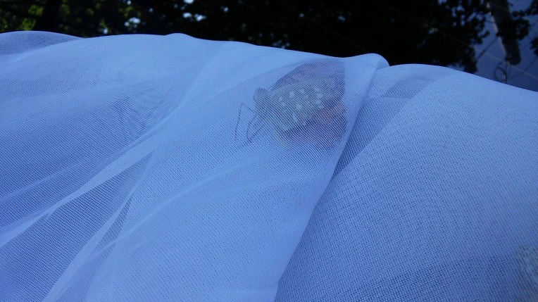 267F5B425593ABA8070178