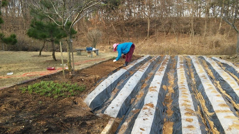 230FDB4256FC8CF81ABD75