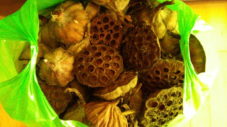 2350774956A9EA512F6D99