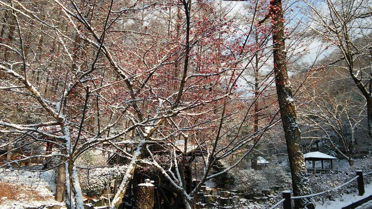 25460D395656A537107F77