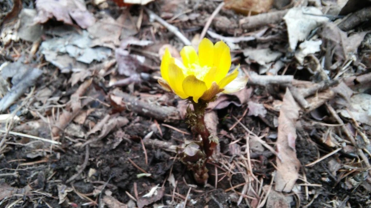 2323BF4456D1083E33185D