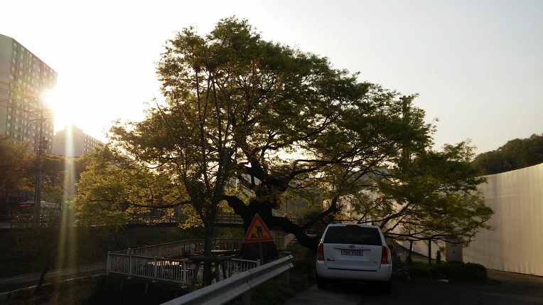 2653A34D5717E923239086