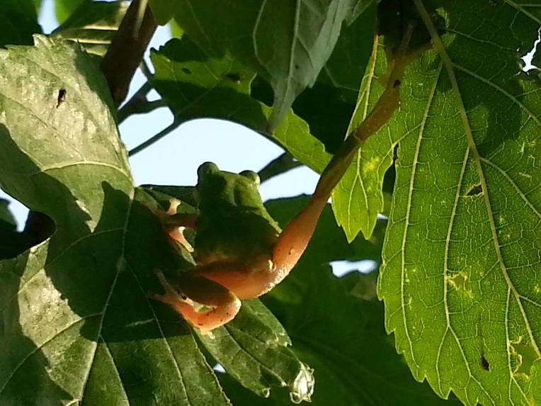 216F674E56B026832C9C6B