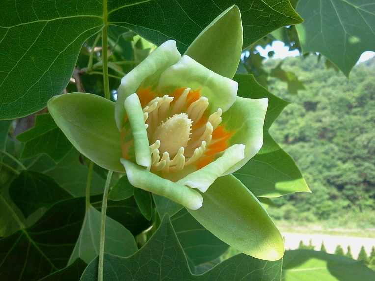 1659EF4A4FC19DE02E85D9