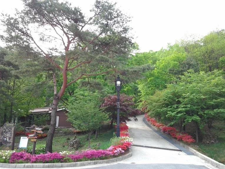 014959455191DC2126559F