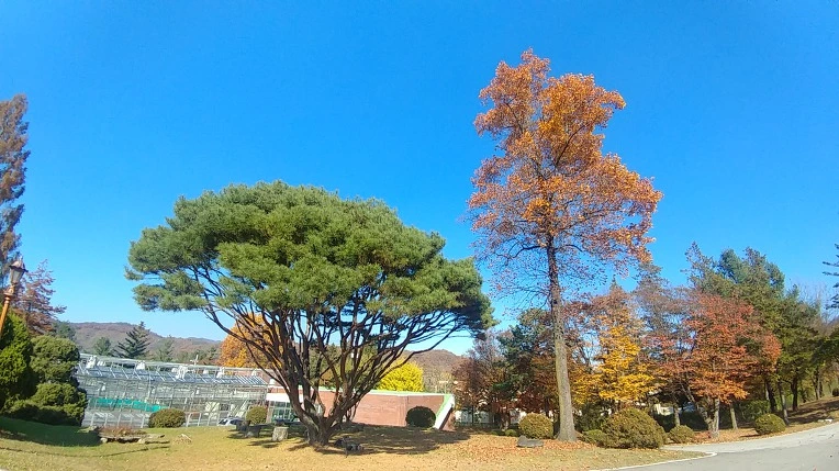 9954463C5C275B04338B83