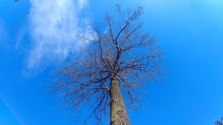 993E693E5C275B132BAB61