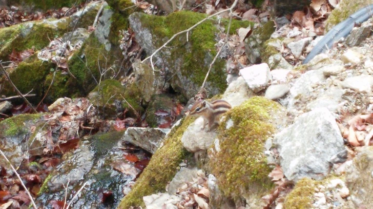 2664DF3558F1759C22F648