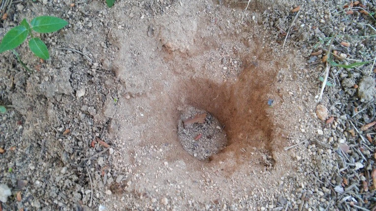 22686E44574D386402186D