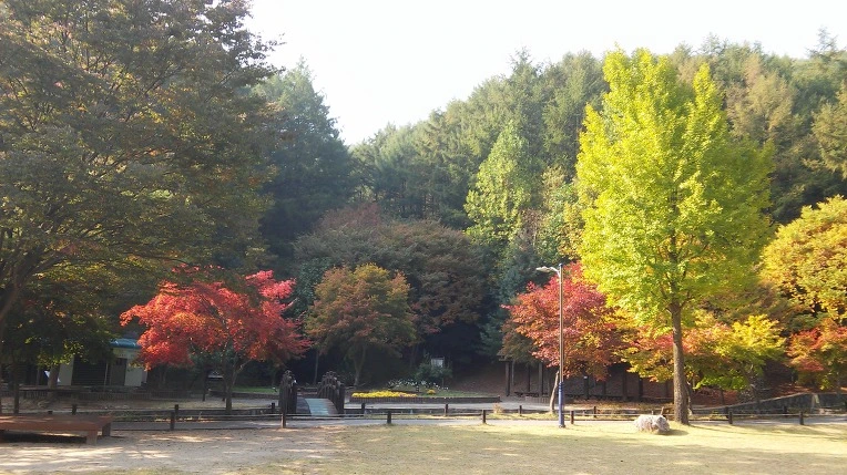 212293385620A67F17B8EC