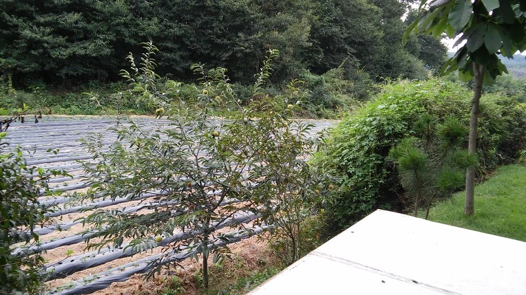 2243B44E57DE021C2C9969