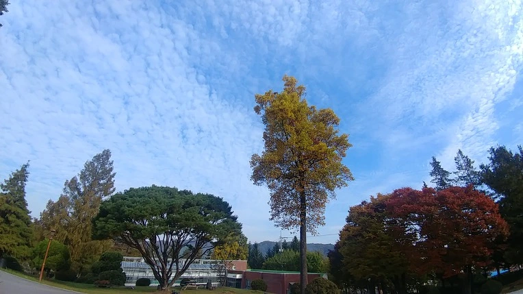 99FF2B365C2758B1172FC0