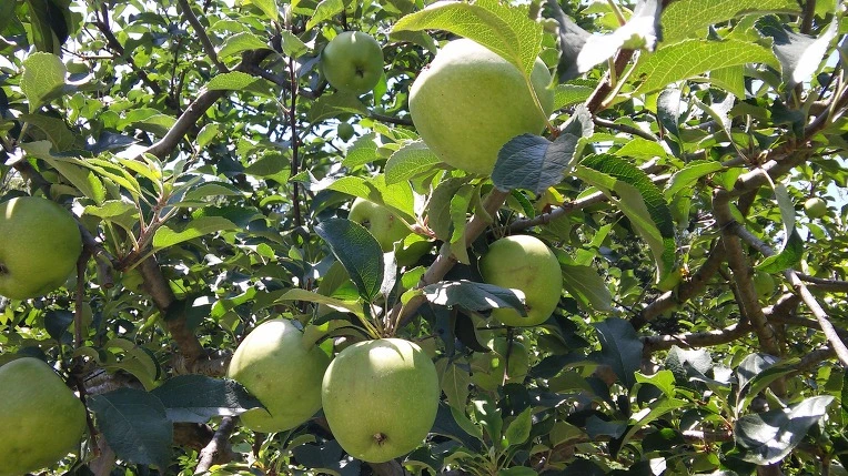 26643D3B57919EF138396D