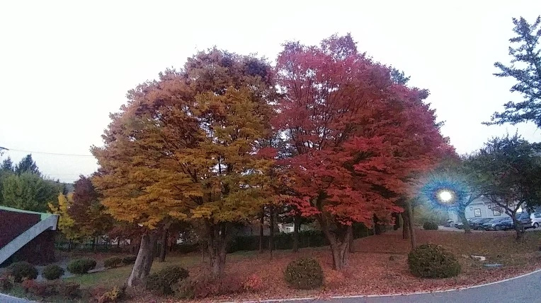 99F854395C2326B221A718