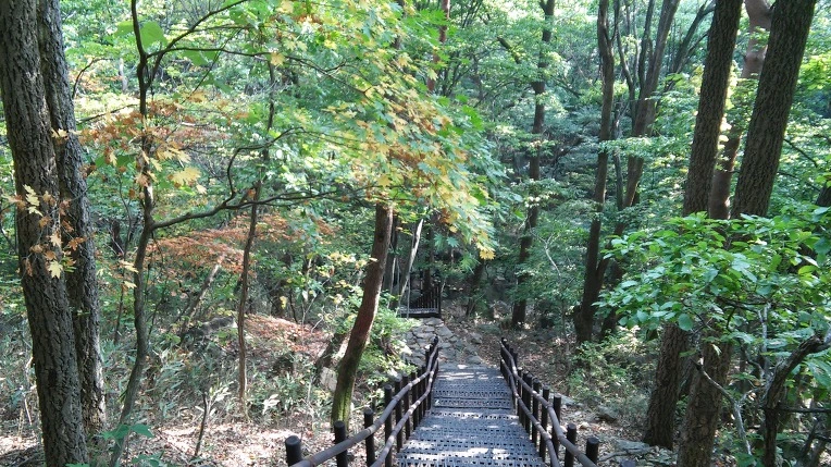 2650A942560FBC89185FB6