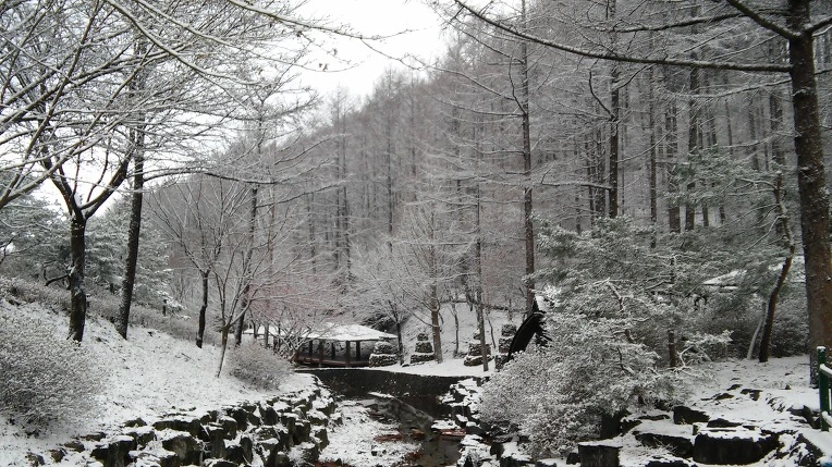 24320A34568CF80823BB98