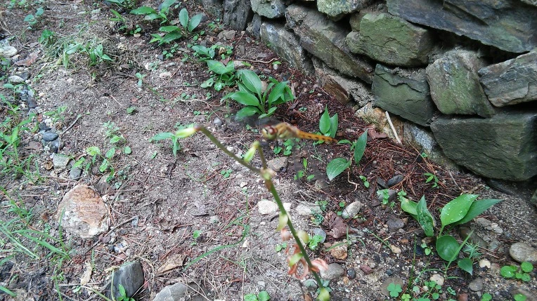 99A7FB3359815FF922727F