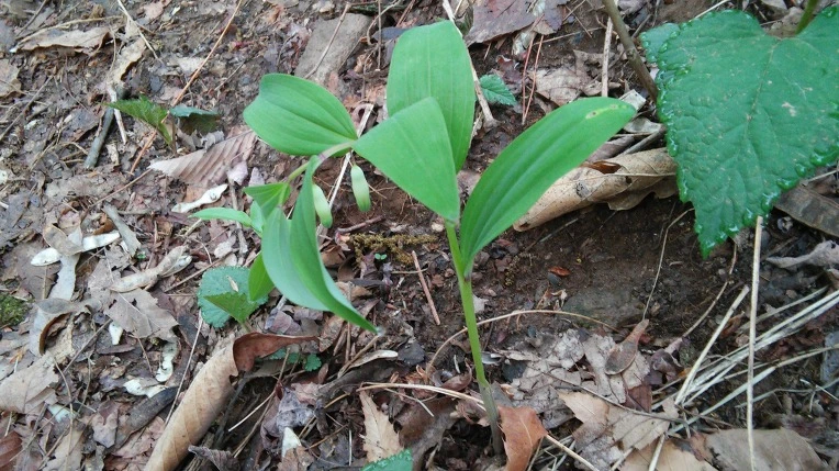 245EC84A571AD1D914BCE0