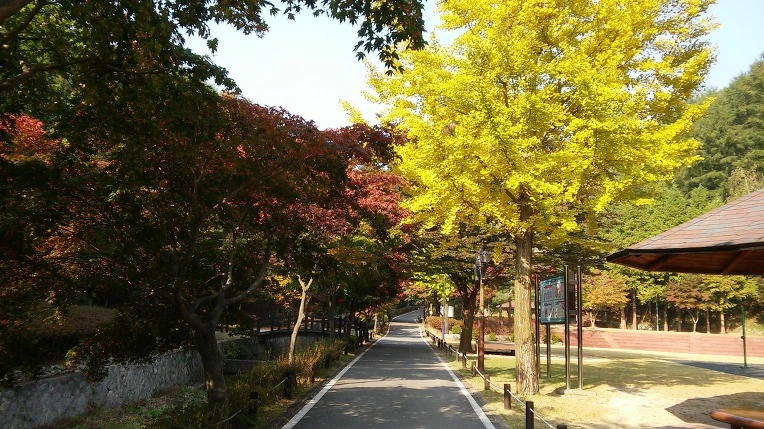 2439993C5620A6731B4883