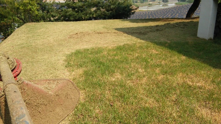 233AFF3B57649BBD25AF1B