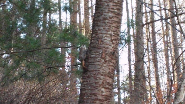 2323803B551F5C68387F08