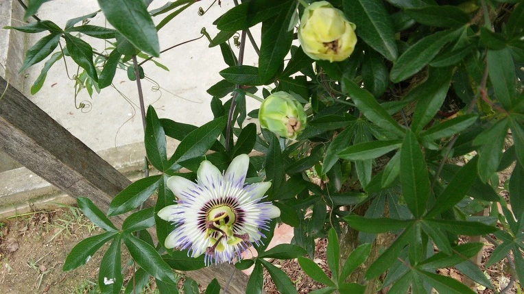 2247C53E57A19F200E4887