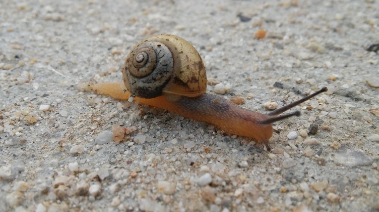 253D5F405770715416CC42