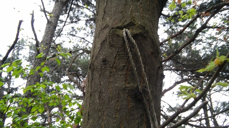 260EC24B571ACEF40FC27E