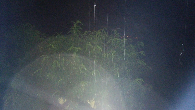 236231395789B5031FFD48