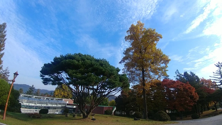 994CF3365C2758B0309ED1