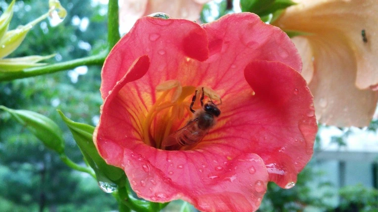 2132DC3C577B391129EA90