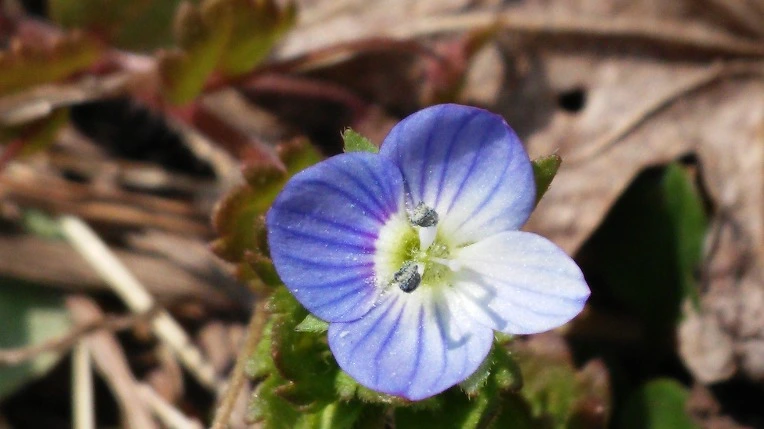 2512D73556F775FA2F12B7