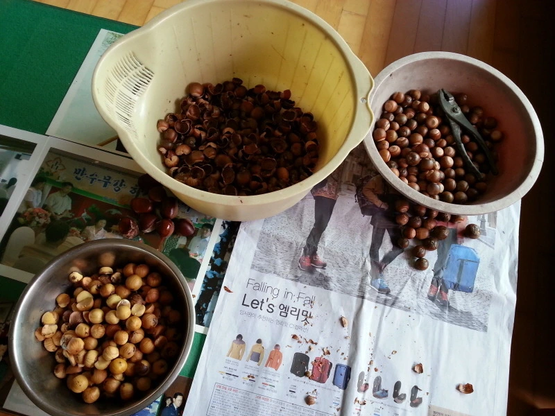 252C8343541A9474073E3C