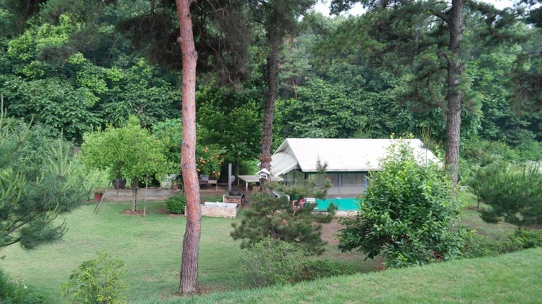 2471E638576CFC3A08EC66