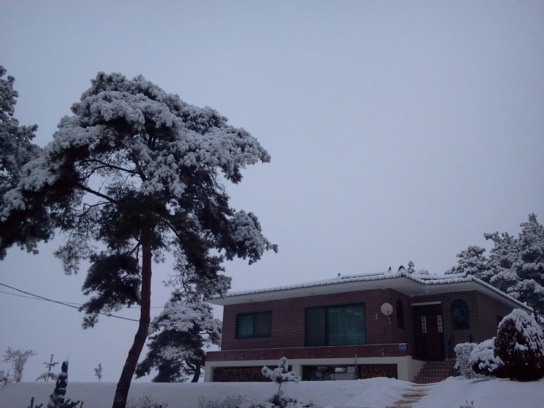 191605465111F2DE088EA6