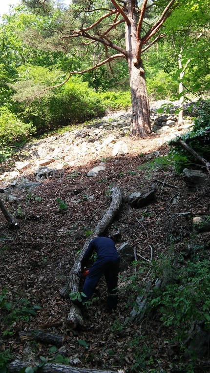 260ED13C592B410405AC2E