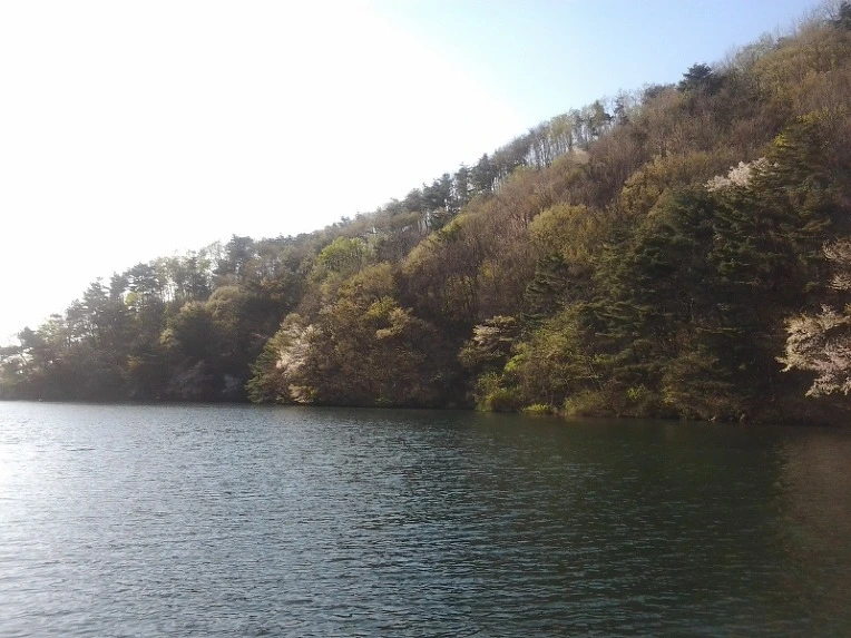 25600D4B56BB19960CA22B