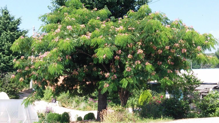 2755394A576F7D811E6688