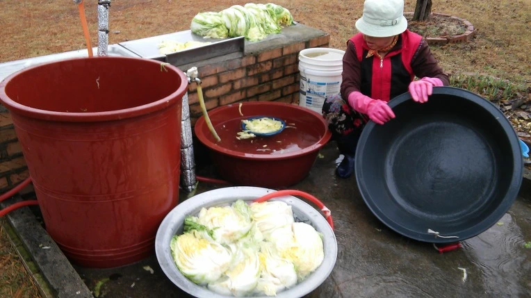 2136475056499B9F1DAD40