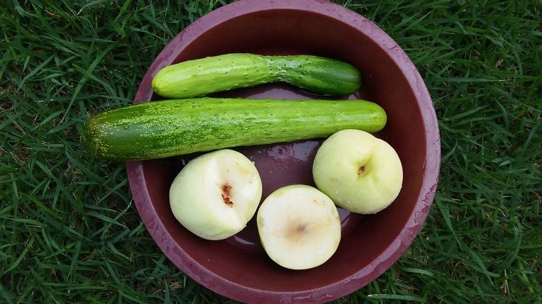 2319E63C5796DCA31CF7A9