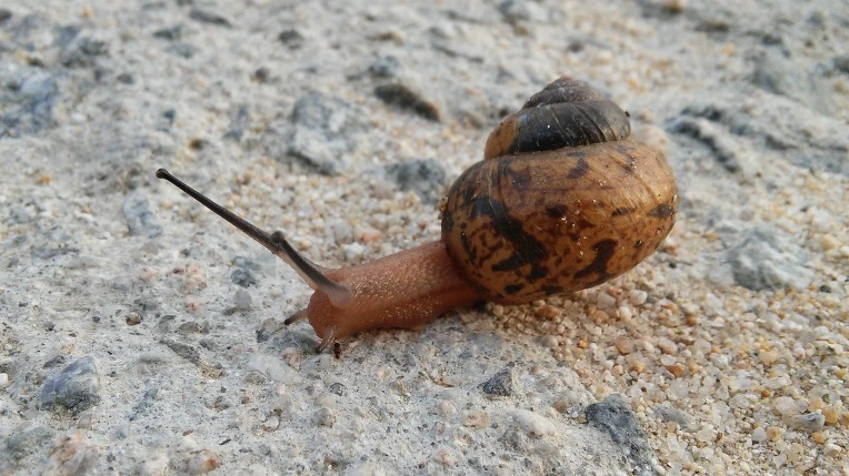 230DCD4257982AA610BF41